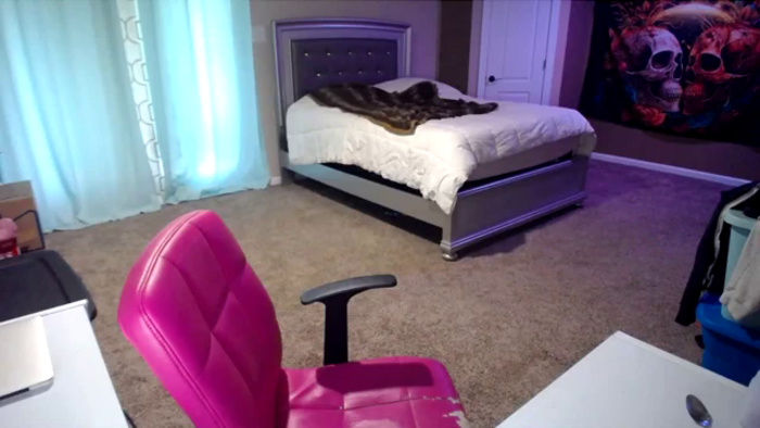 AshlynnStorm