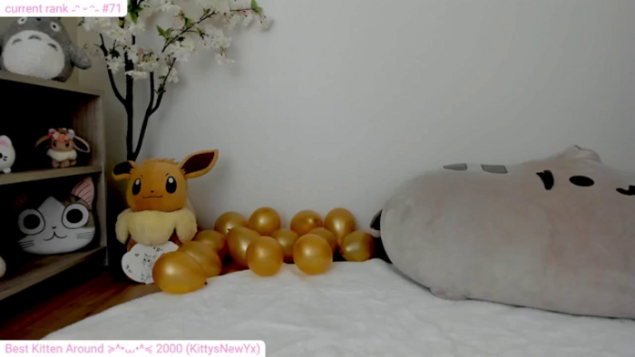 Kitty