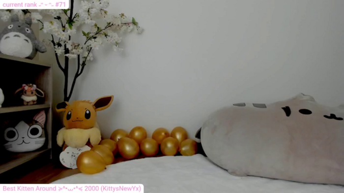 Kitty