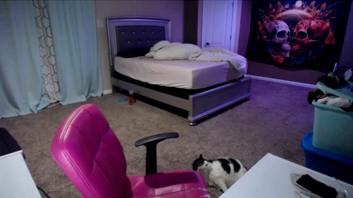 AshlynnStorm
