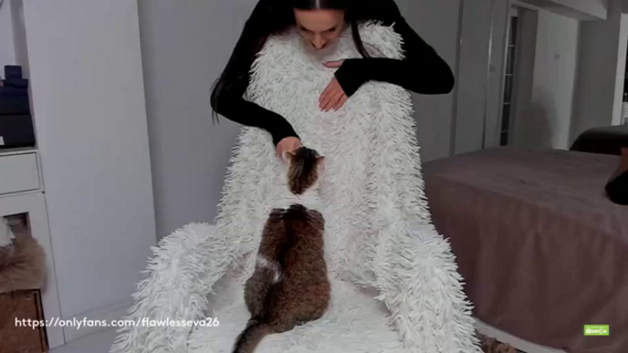 Meow_S