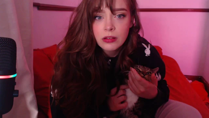 KittyCash3w