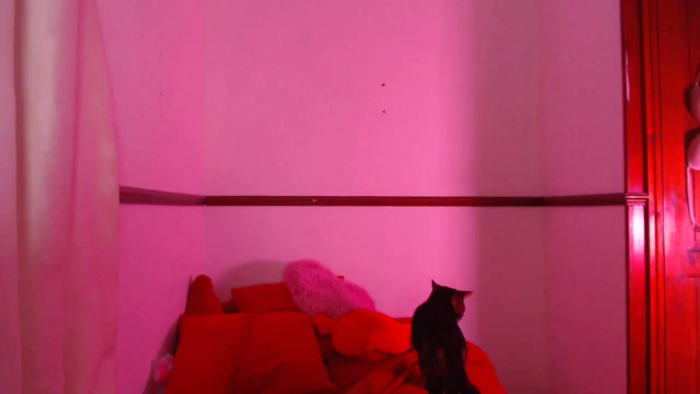 KittyCash3w