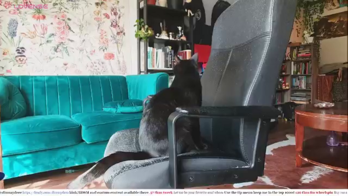 slimsaydeee