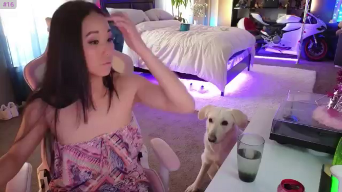 LexxiStar
