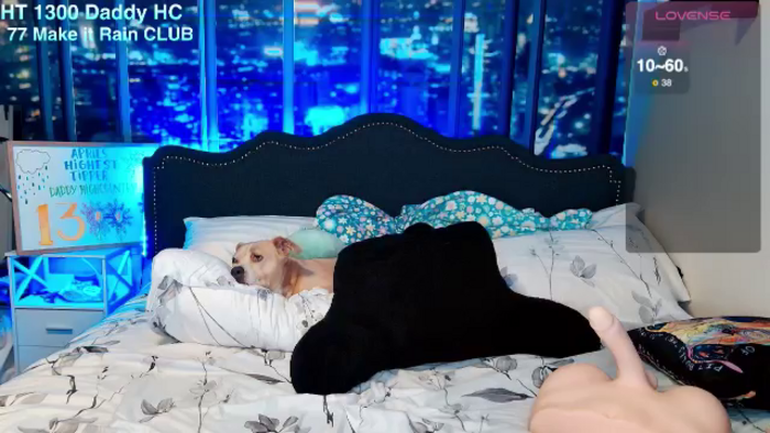 Rose_Kitten