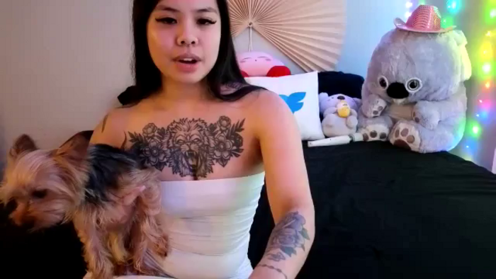 dolllface