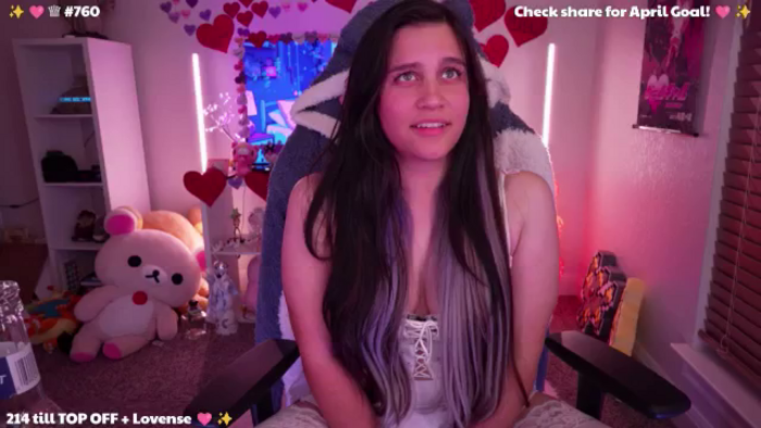 Nekobeanxo