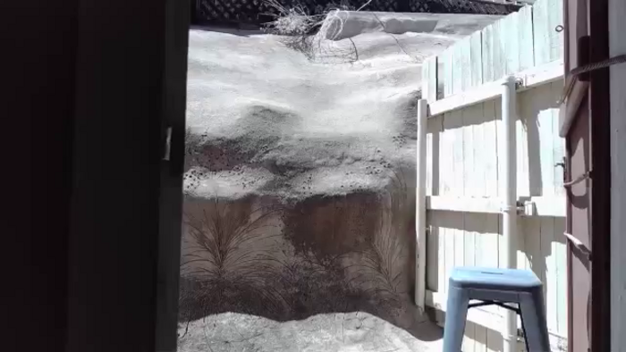 TrollopTaylor