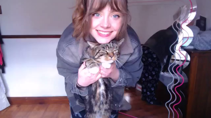 KittyCash3w