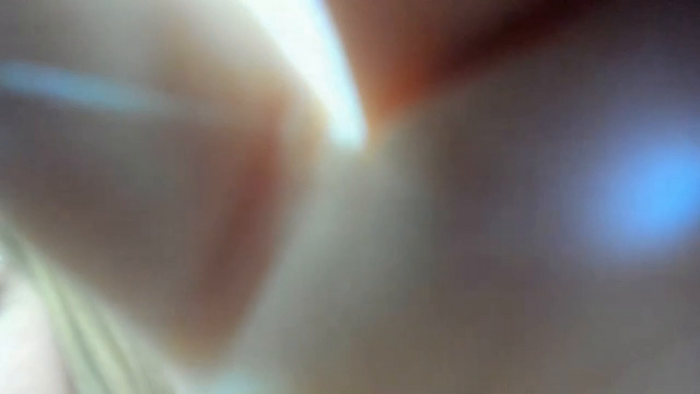 Kalyna_Sylva