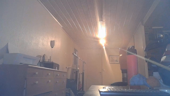 Mocha_Belle