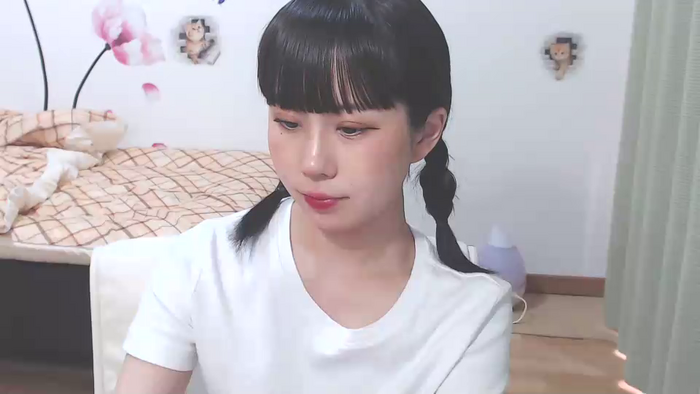 KANONir