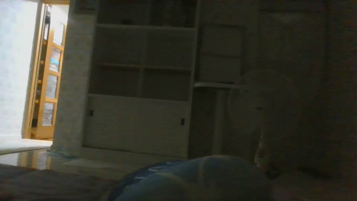 leacat