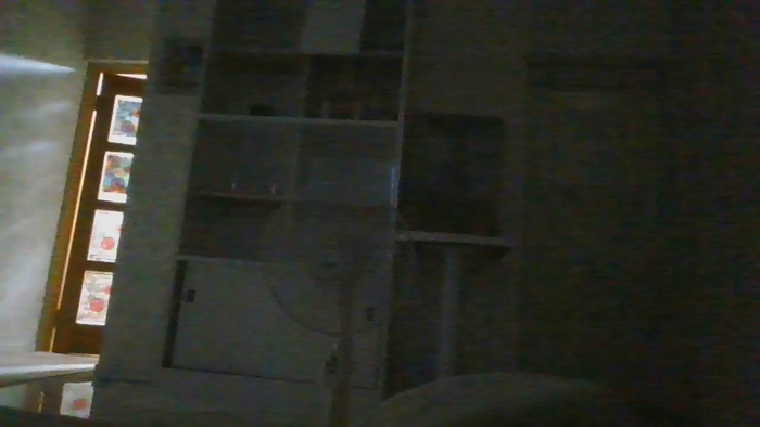 leacat