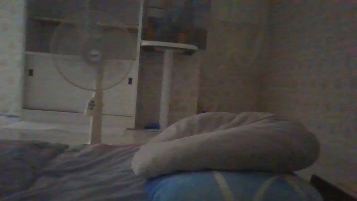 leacat