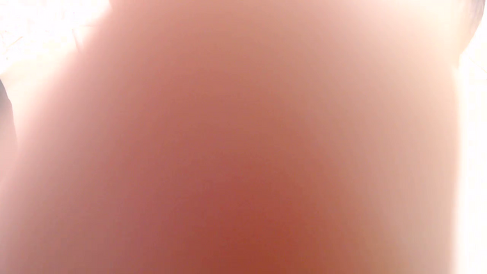 RYOUKAy