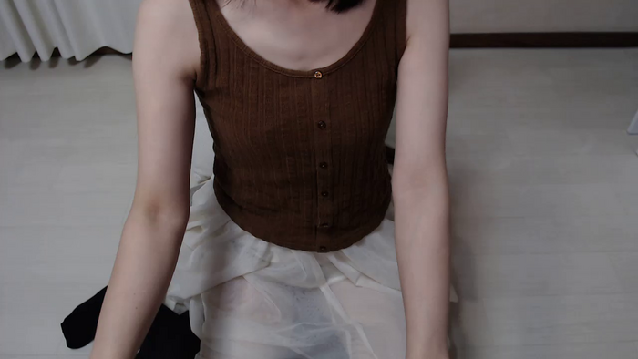 SAEu