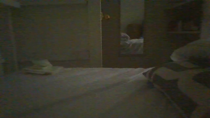 leacat