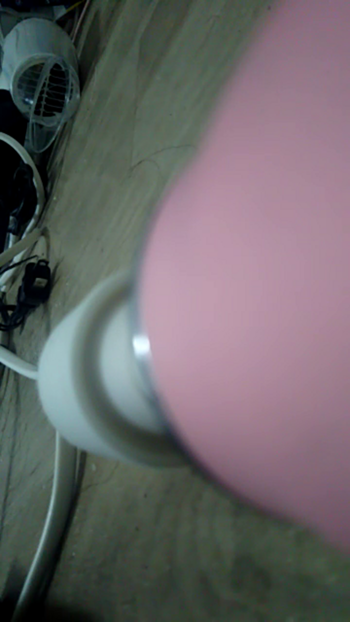 OhLady010