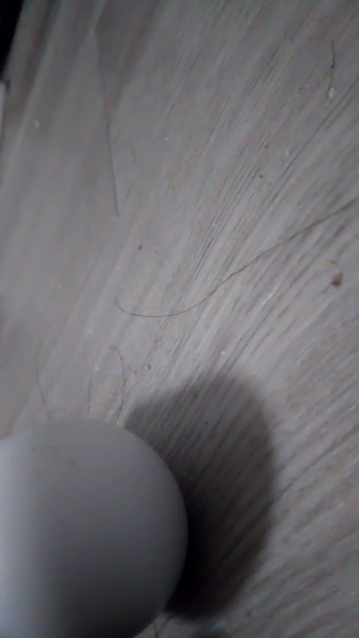 OhLady010