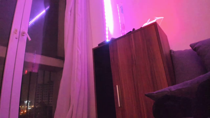 vanillaisforicecram_