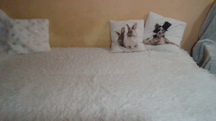 SweetWiki23_