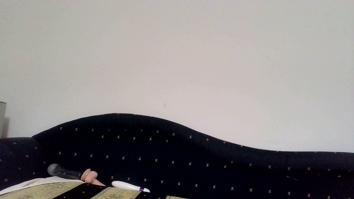 PodnieconaOna19_