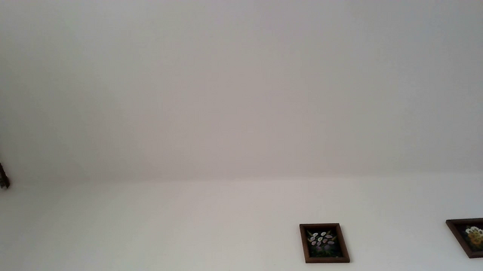 PodnieconaOna19_