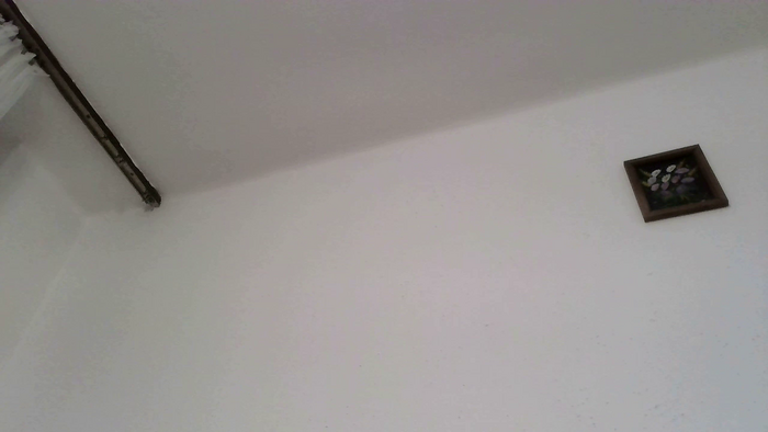 PodnieconaOna19_