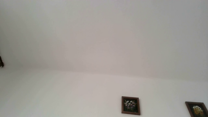 PodnieconaOna19_