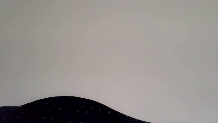 PodnieconaOna19_