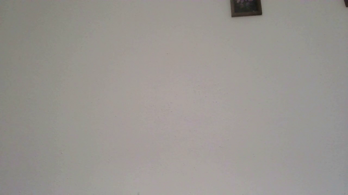 PodnieconaOna19_