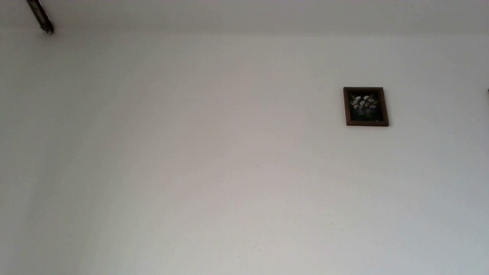 PodnieconaOna19_