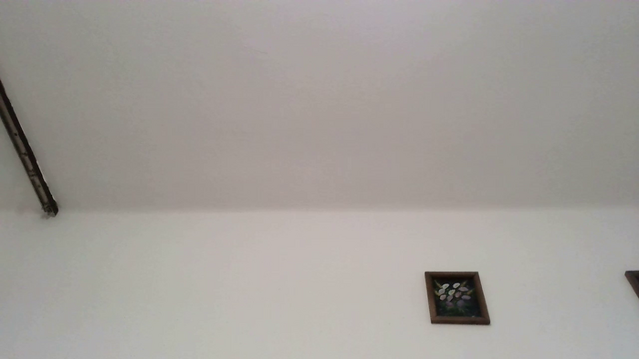 PodnieconaOna19_