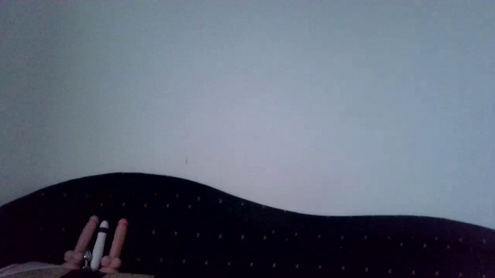 PodnieconaOna19_