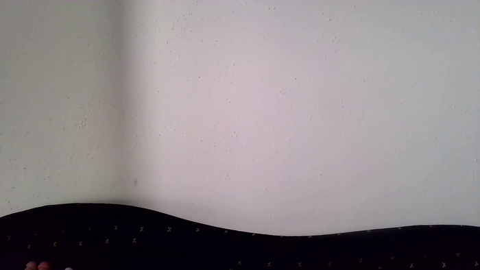 PodnieconaOna19_
