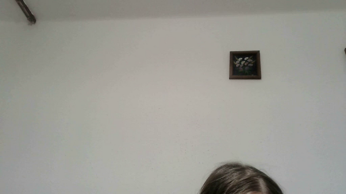 PodnieconaOna19_