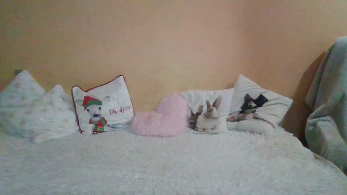 SweetWiki23_