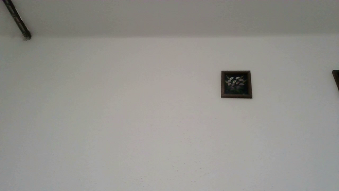 PodnieconaOna19_