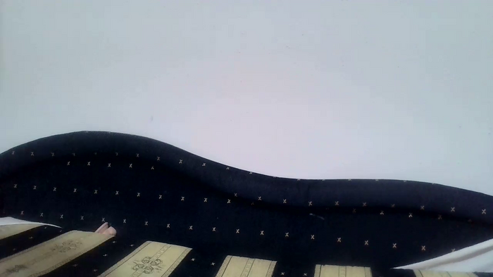 PodnieconaOna19_
