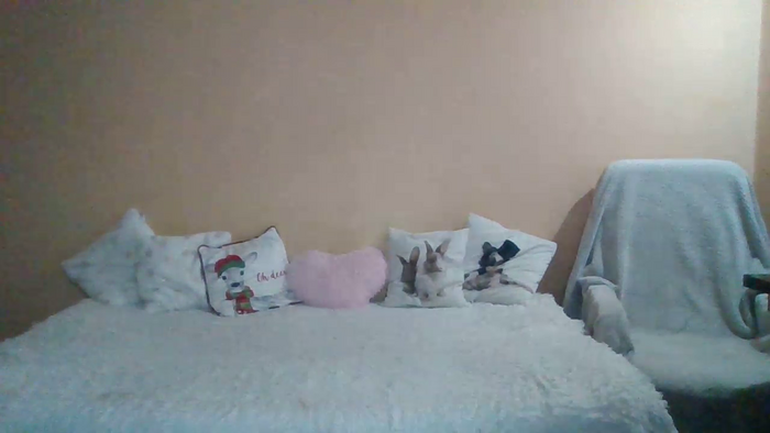 SweetWiki23_