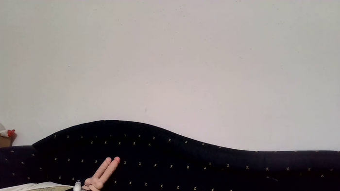 PodnieconaOna19_