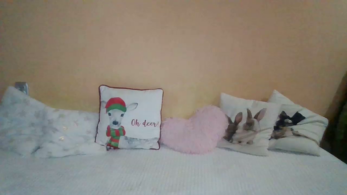SweetWiki23_