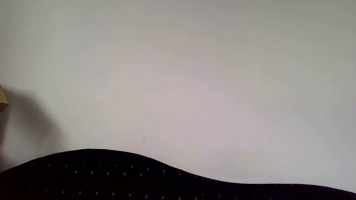 PodnieconaOna19_