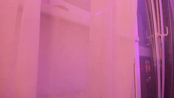 vanillaisforicecram_