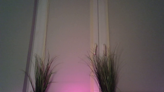 OliviaBayLive_