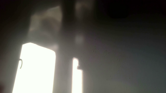 PodnieconaOna19_