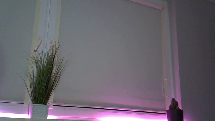 OliviaBayLive_
