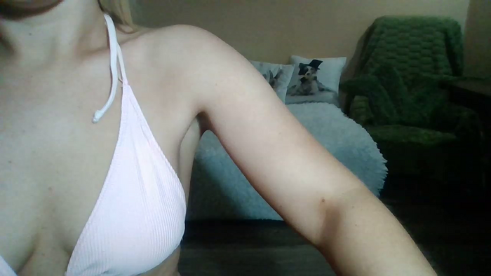 SweetWiki23_